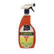 Antiseptic Disinfectant 750ml