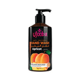Apricot Infused Anti-Bacterial Hand Wash 500ml